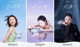 日料学徒爆料视频,揭秘日料制作背后的辛酸与匠心